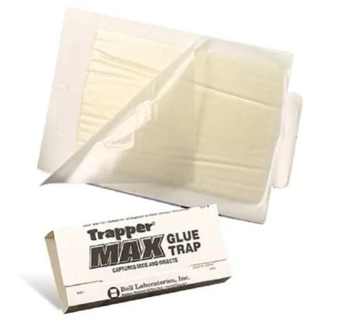 TRAPPER MAX  TRAMPA DE PEGAMENTO 13 X 20 TL2586
